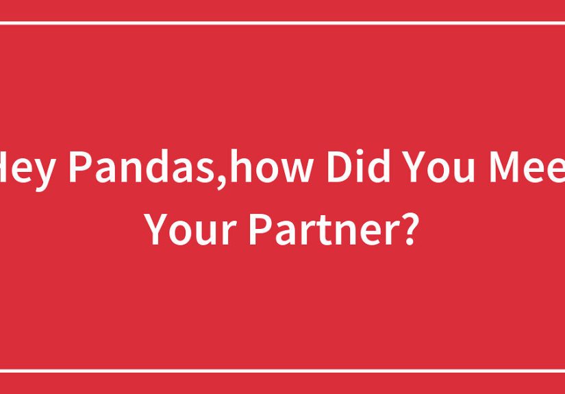 Hey Pandas, How Did You Meet Your Partner?