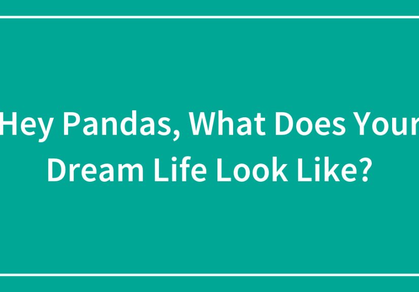 Hey Pandas, What Does Your Dream Life Look Like?