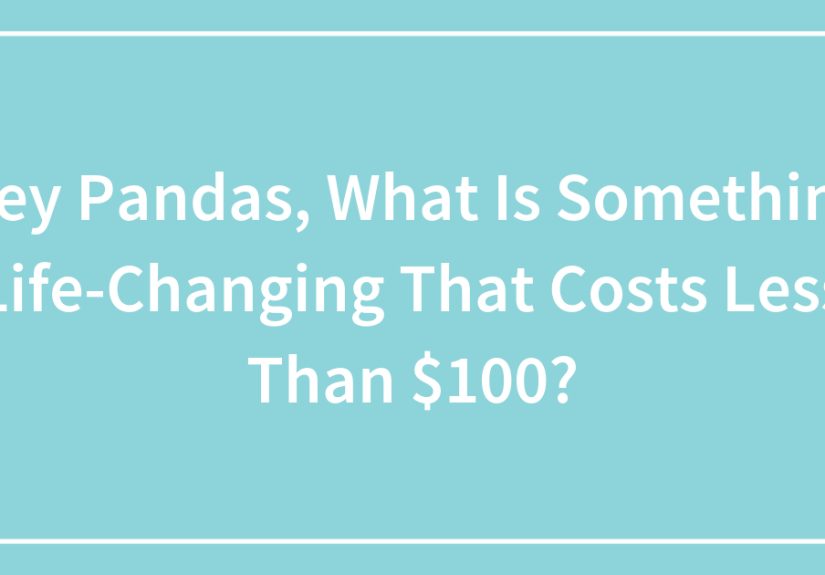 Hey Pandas, What Is Something Life-Changing That Costs Less Than $100?