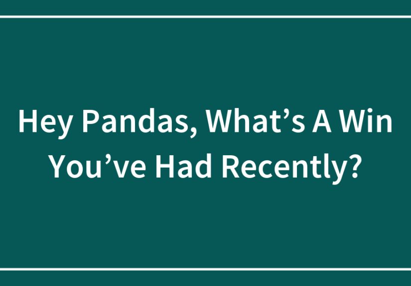 Hey Pandas, What’s A Win You’ve Had Recently?