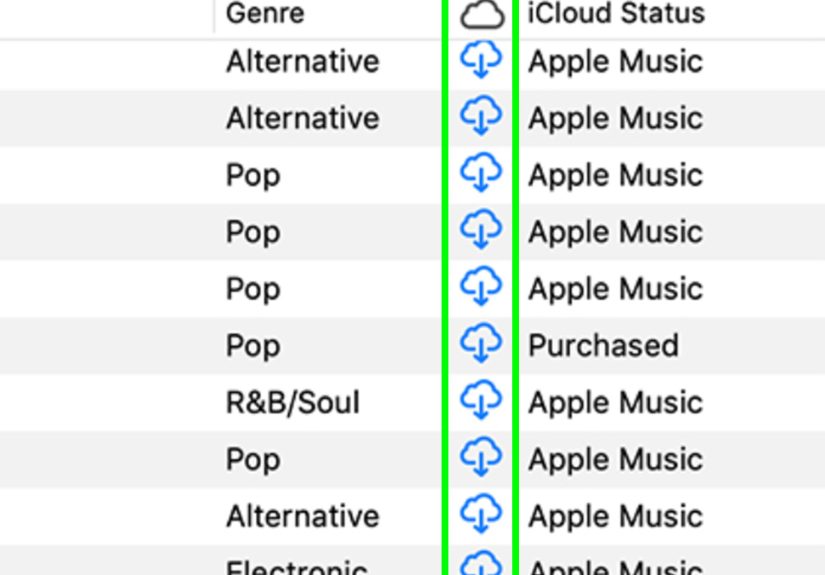 How to Download Music on Apple Music: 12 Steps