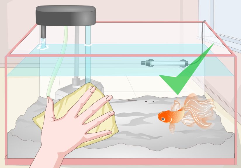 How to Fix Scratches on an Aquarium: 10 Steps