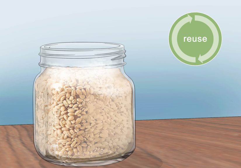 How to Grow Hydroponic Mushrooms: 14 Steps