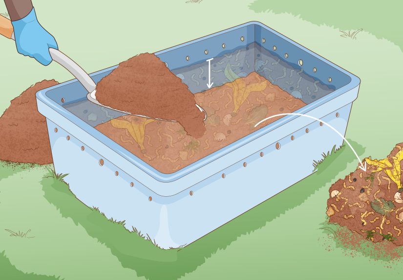 How to Grow Your Own Fishing Worms: 11 Steps