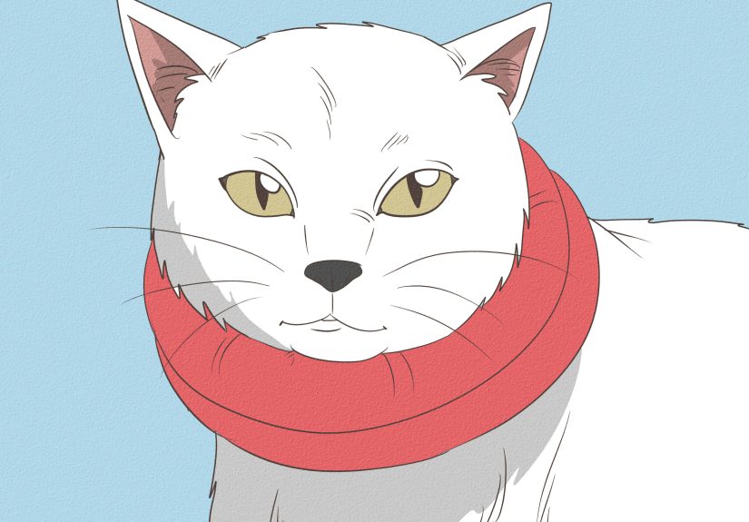 How to Put an Elizabethan Collar on a Cat: 12 Steps