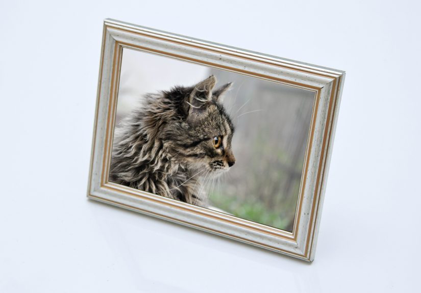 How to Replace Broken Glass in a Picture Frame: 9 Steps