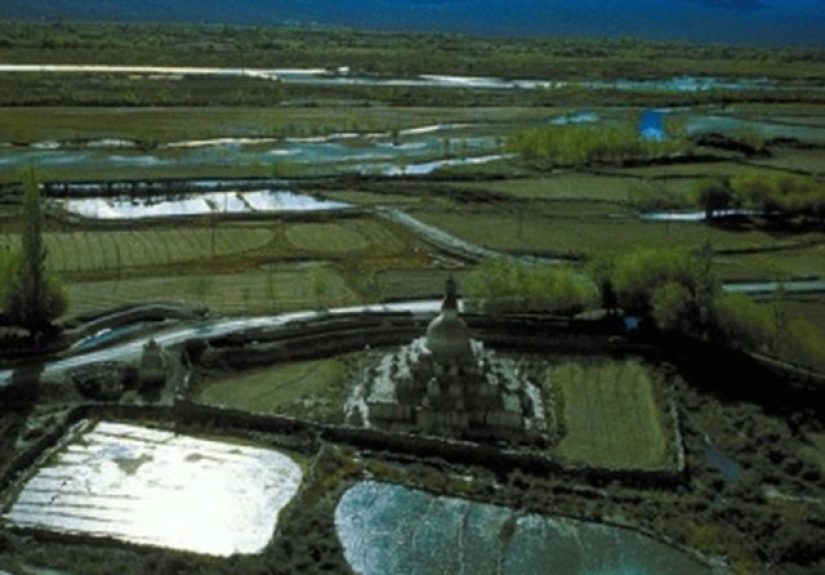 Importance of Biofertilizers in Crop Production