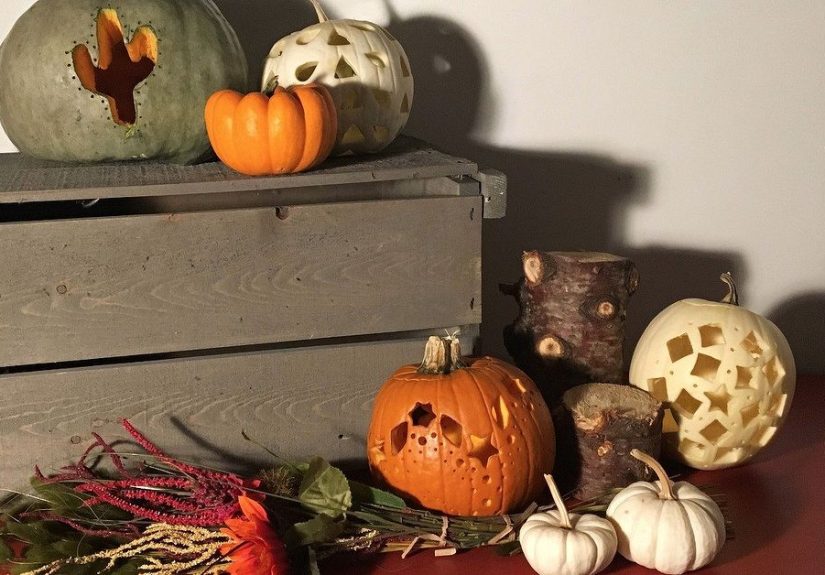 Make Cookie Cutter Pumpkins in 20 Minutes