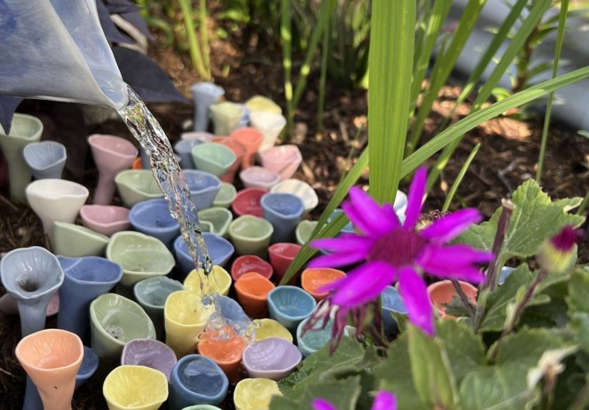 Pollinator Pots Are the Low-Maintenance Secret to a Buzzing Summer Garden