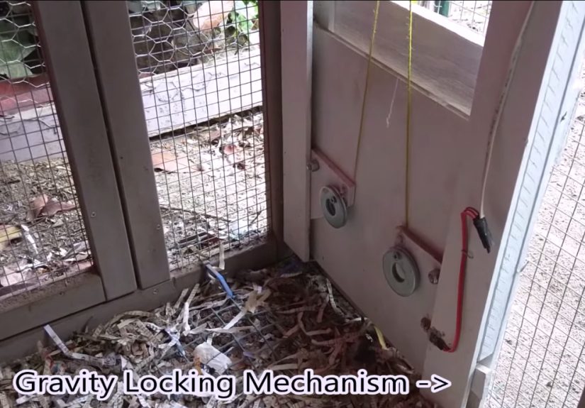 Raspberry Pi Controlled Chicken Door