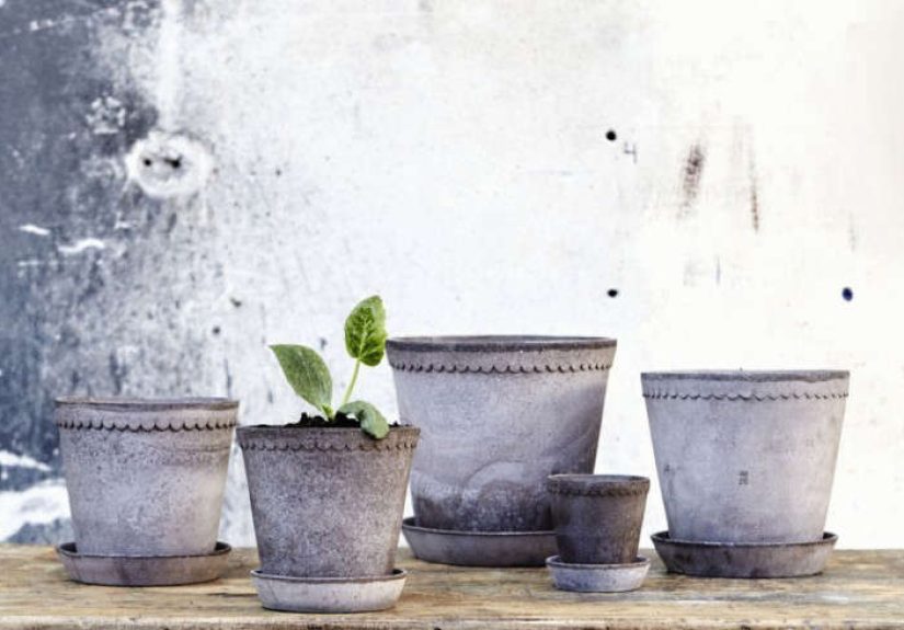 Trending on Gardenista: Roses, Trugs, and Other Signs of Summer