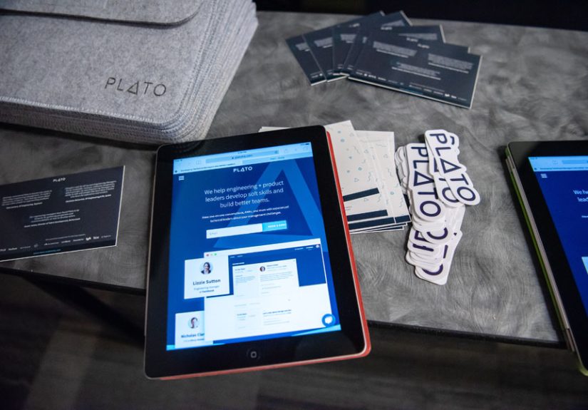 What Is the Biggest Pain for a CEO?