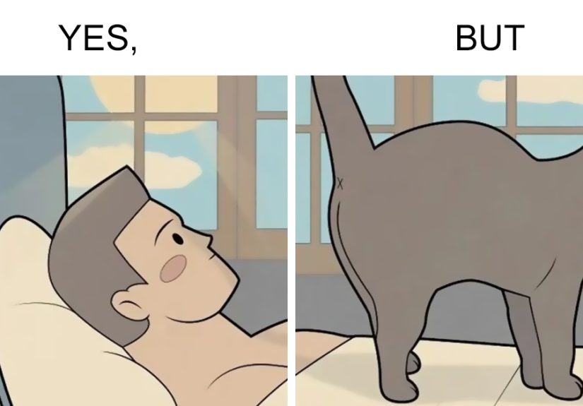 “Yes, But”: Artist Creates A Series Of Illustrations That Depict Our Society’s Contradictions, And Here Are 21 Of His Comics, Pet Edition