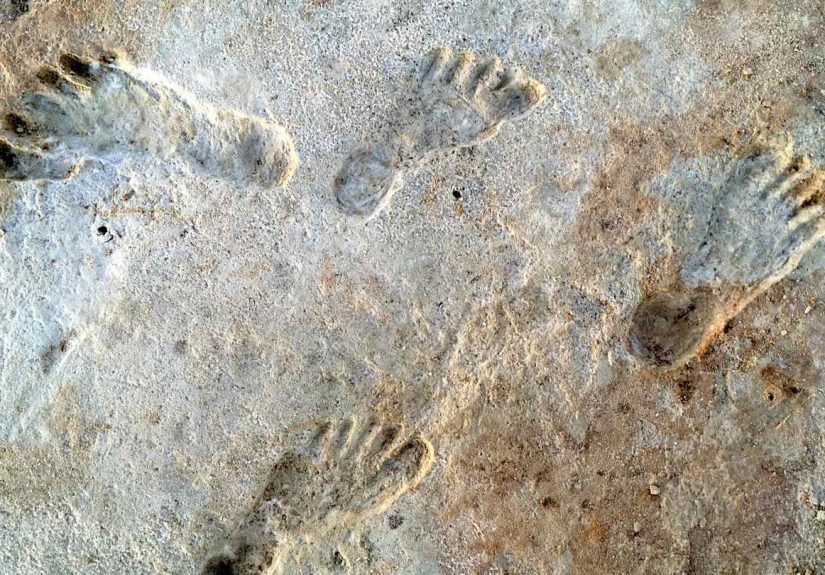 8 Ancient Archaeological Sites That Pre-Date the Clovis People