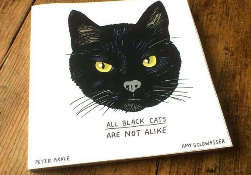 All Black Cats Are Not Alike