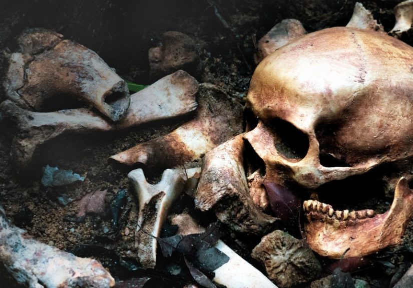 Archaeologists Explored the Site of Napoleon’s Final Battleand Found a Shocking Pit of Bones