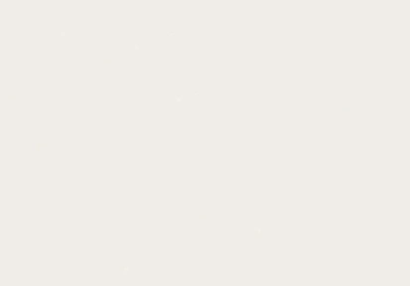Benjamin Moore's White Dove Paint