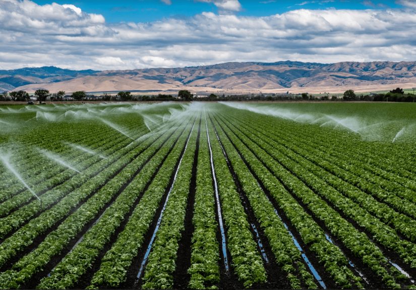 Bill Gates Is Buying Up Farmland: 5 Reasons To Invest As Well