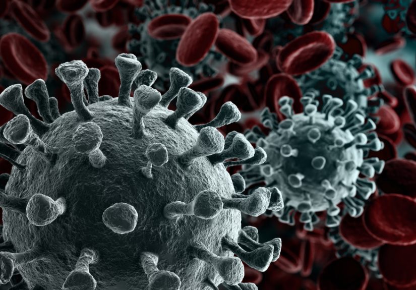 Crossing the Liminal Space of the Pandemic