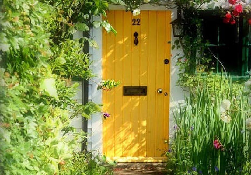 Dutch Door Paint Kit
