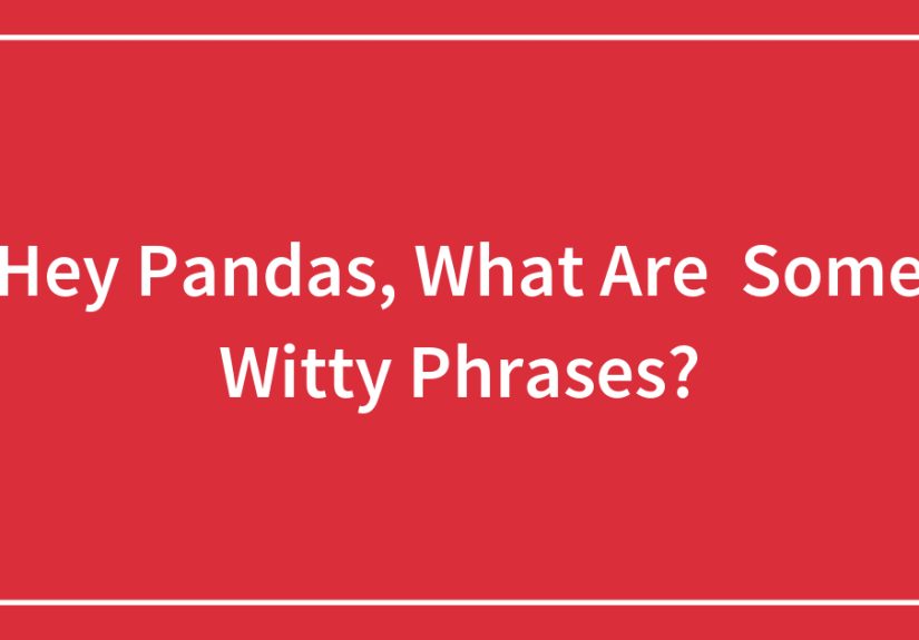 Hey Pandas, What Are Some Witty Phrases?