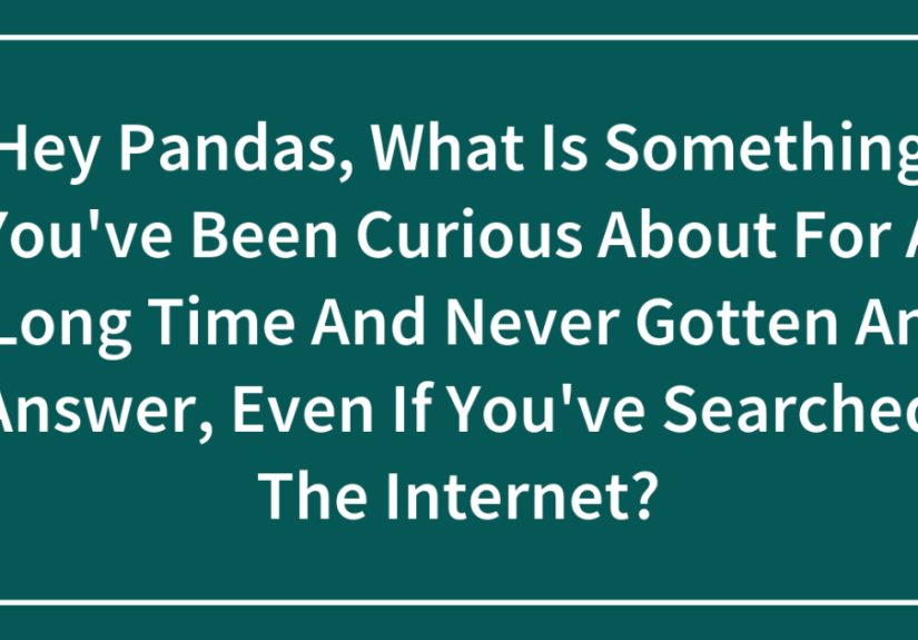 Hey Pandas, What Is Something You’ve Been Curious About For A Long Time And Never Gotten An Answer, Even If You’ve Searched The Internet?
