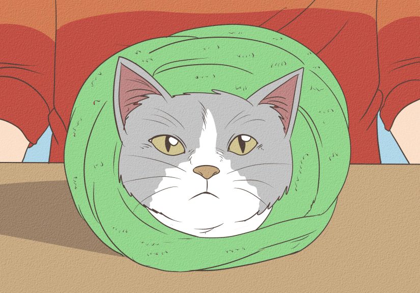 How to Give a Cat Nose Drops (Plus, Tips for Restraining)