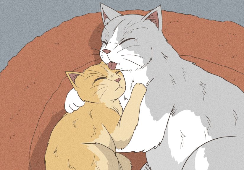 How to Help Cats Become Friends: 13 Steps