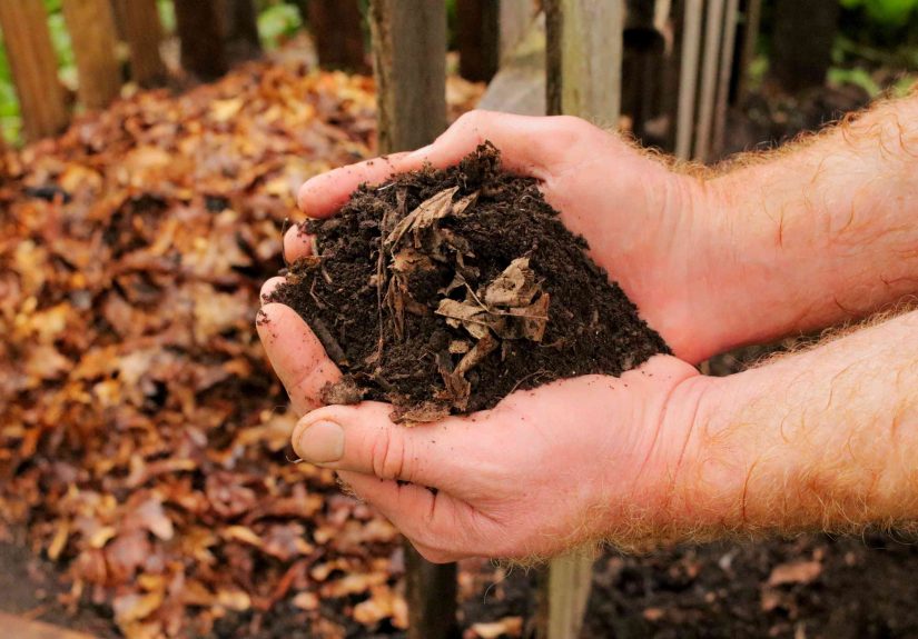 How to Make and Use a Leaf Mold for Organic Gardening