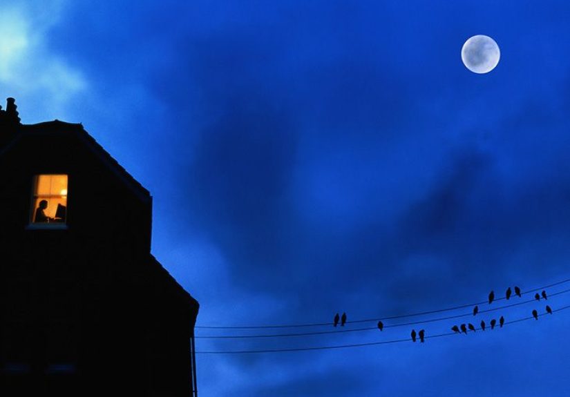 Insomnia: Causes, Symptoms, and Treatments