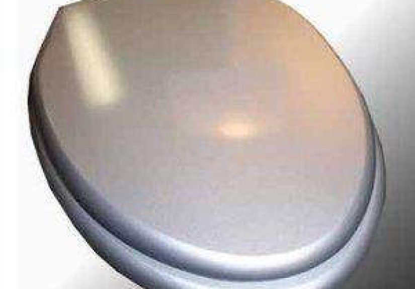 Renovator's Supply Toilet Seat
