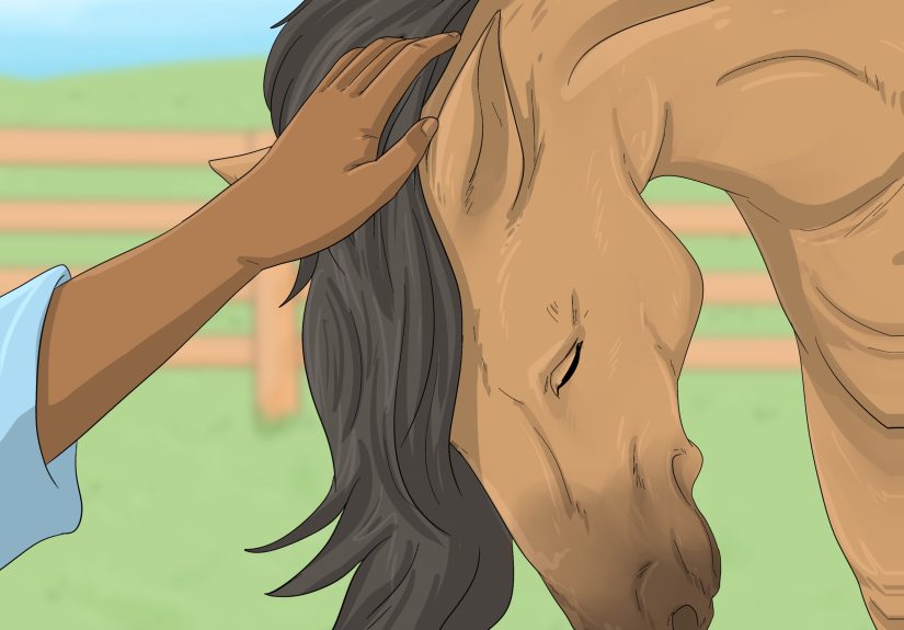 Spiritual Animal for Scorpio: 10 Animals to Guide You