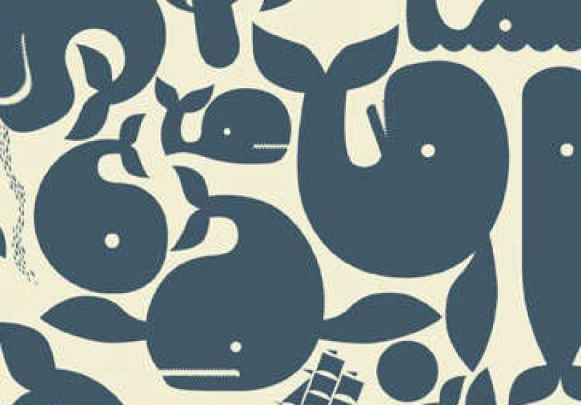 Wallpaper: Pottok Prints