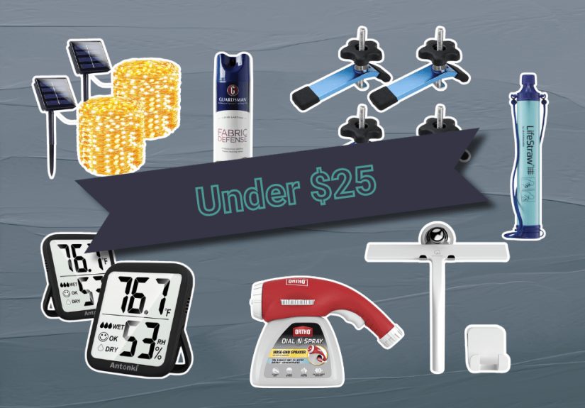 What Our Readers Bought for Under $25 This Prime Day
